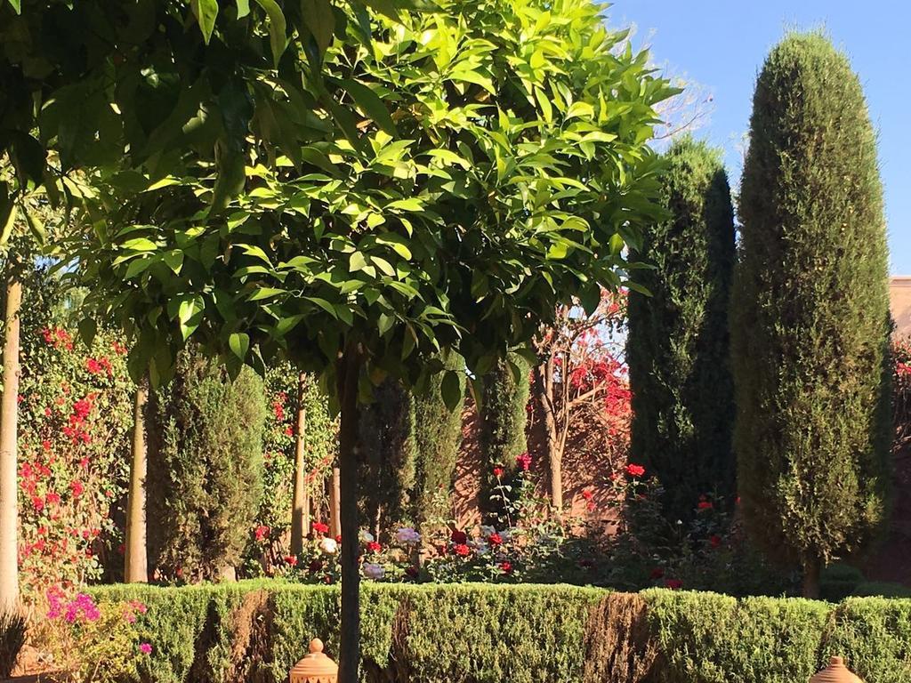 Al Fassia Aguedal Otel Marakeş Dış mekan fotoğraf